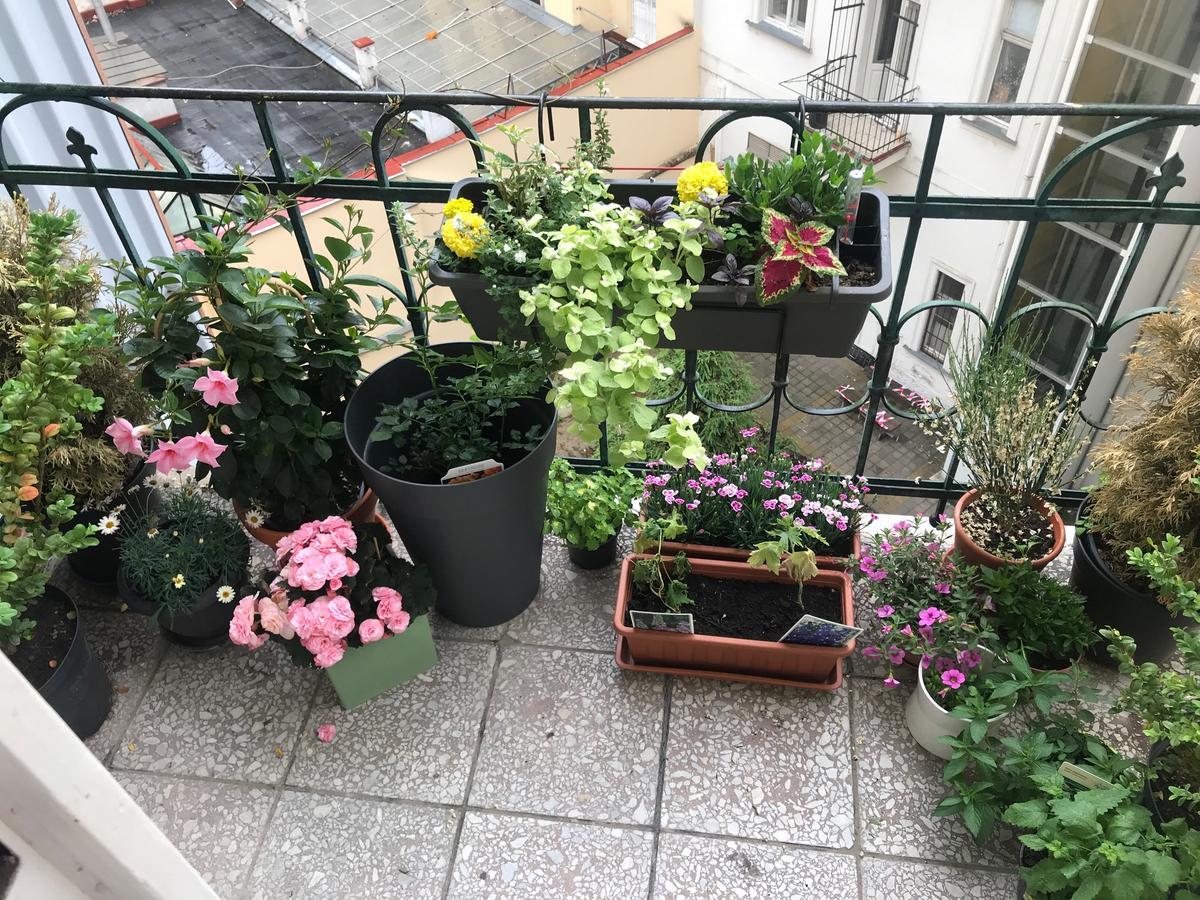 Charming Apt W Balcony Old Town Prague
